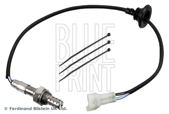 Oxygen Sensor